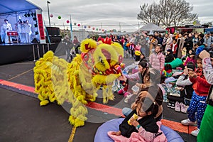 Chinese lion dancers entertain crowd at moon festival