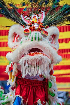 Chinese lion mask