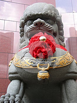 Chinese Lion Statue