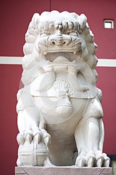 Chinese lion statue