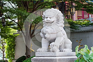 chinese lion statue