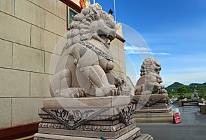 Chinese lion statues in Chinese temple