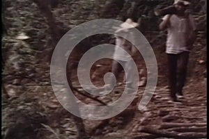 Chinese lumberjacks toiling in forest