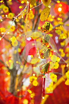 Chinese Lunar New Year ot Tet decorations, Vietnam