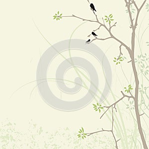 Chinese magic flower background