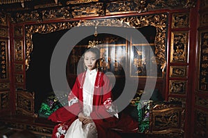 Chinese maiden in ancient Hanfu with delicate silver hairpin on her hair decoration