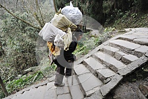 Chinese man carry goods