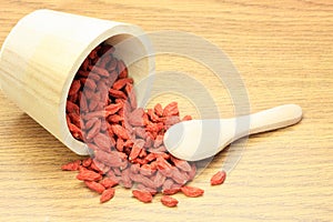 Chinese matrimony vine