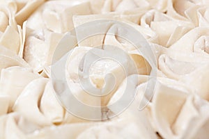 Chinese meat dumpling