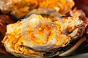 Chinese mitten crab is a delicious food