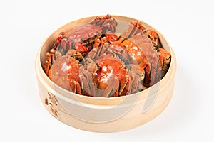 Chinese mitten crab, shanghai hairy crab