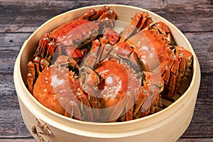 Chinese mitten crab, shanghai hairy crab