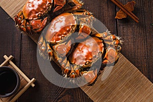 Chinese mitten crab is a delicious food photo