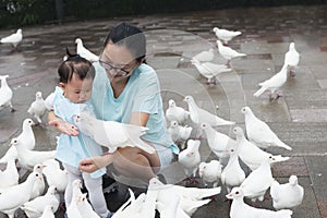 Chinese mom encourage little daughter feed pigeons