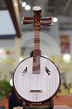 Chinese musical instrument yueqin attended the exhibition