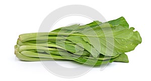 Chinese mustard green on white background (Nontoxic)