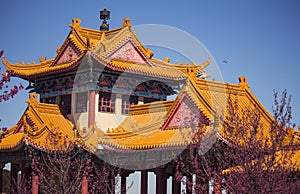 Chinese Nan Hua Temple. Beginning of spring in South Africa.