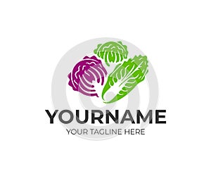 Chinese napa cabbage, white cabbage and red kubis merah, logo design. Vegetables, organic and natural food, vector design photo