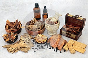 Chinese Natural Healing Remedy to Boost Chi photo