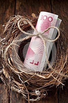 Chinese Nest Egg Money Yuan