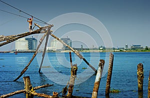 Chinese nets in Kochi