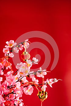 Chinese new year accessories hanging on the branch