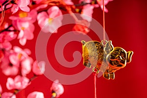 Chinese new year accessories hanging on the branch