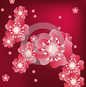 Chinese new year background blooming sakura branches