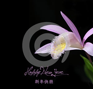 Chinese New Year background with Flower