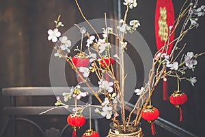 Chinese New Year Background. Red Blooming Sakura Branches