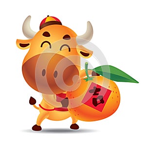 Chinese new year 2021. Cartoon cute ox carrying big mandarin tangerine orange with Chinese letter.