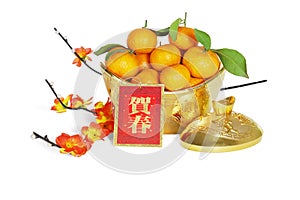 Chinese New Year Decoration Mandarin Oranges in Gold Ingot Containers