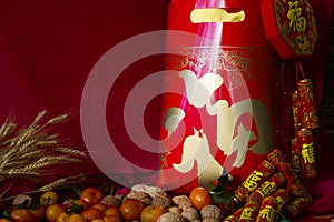 Chinese New Year decorations Translation: Prosperity/Blessing