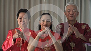 Chinese New Year family salute etiquette palm and fist gesture bounding photo