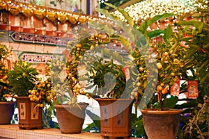 Chinese New year fruit - tangerines.