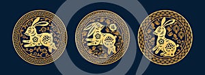 Chinese New Year gold rabbit zodiac signs in circles