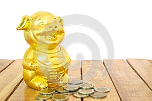 Chinese New Year, Golden pig or Piggy gold and gold coins on the wooden table. Year of the earth pig.