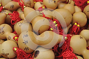 Chinese new year handicraft