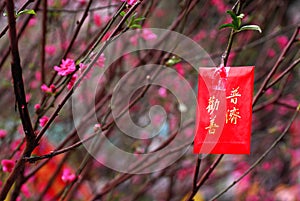 Chinese New Year images