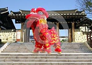 Chinese New Year lion dance celebration