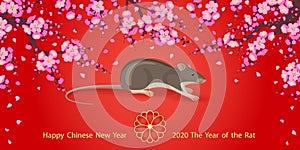 Chinese New Year of Rat  2020  Greeting Card