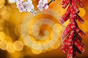 Chinese new year's decoration