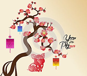 Chinese new year`s lantern decoration for blossom spring festival