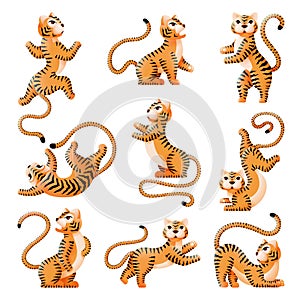 Chinese new year tiger. Cartoon tigers, asian festival symbols. Isolated wild cats, angry and cute animals. Exotic zoo