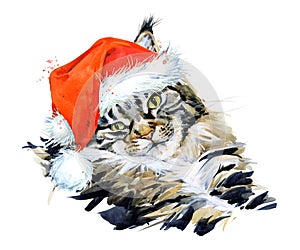 Chinese new year, Year of the cat, Happy lunar new year 2023, watercolor Cat Illustration, Maine coon