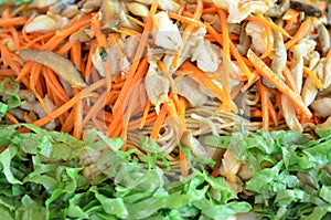 Chinese noodle stir with vegetable, tofu, mushroom Vegetarian food