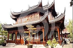 Chinese Pagoda