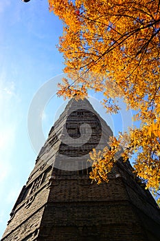 A Chinese Pagoda in autumn