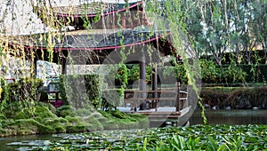 Chinese pagoda building set in water garden with willow tree, pond filled with water lilies, orange trees