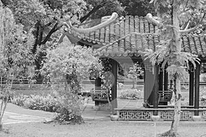 Chinese pagoda surrounded with green trees at public park.